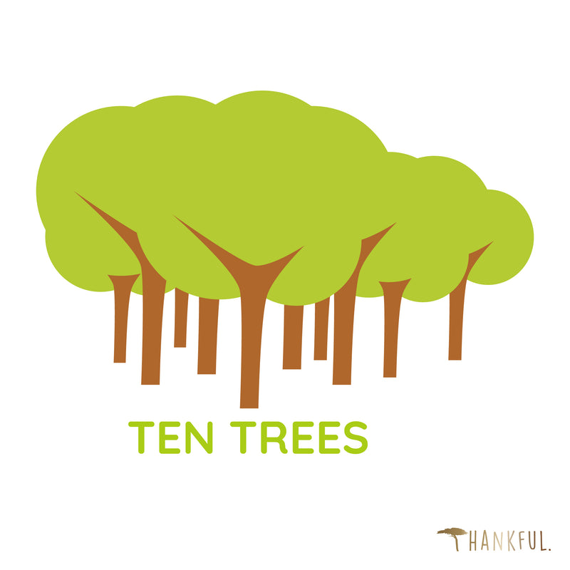 Planting out of Thankfulness - Zehn Bäume mit THNKFl pflanzen