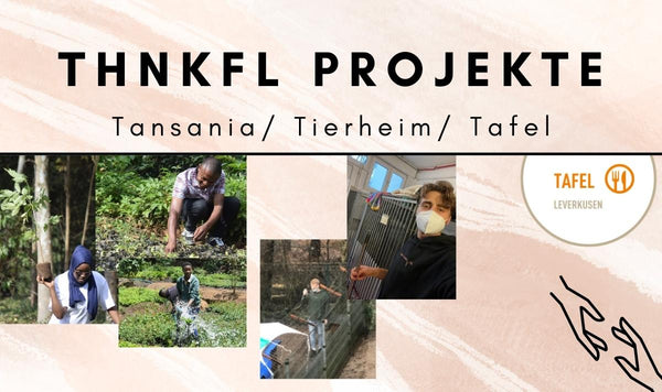 Spendenupdates Thnkfl Projekte