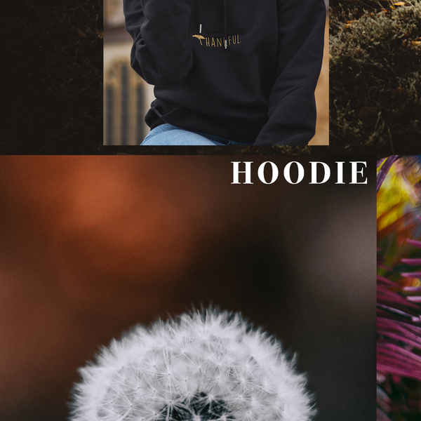 Hoodie oder Hoody?