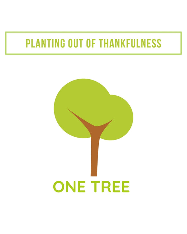 Planting out of Thankfulness - Einen Baum mit THNKFl pflanzen