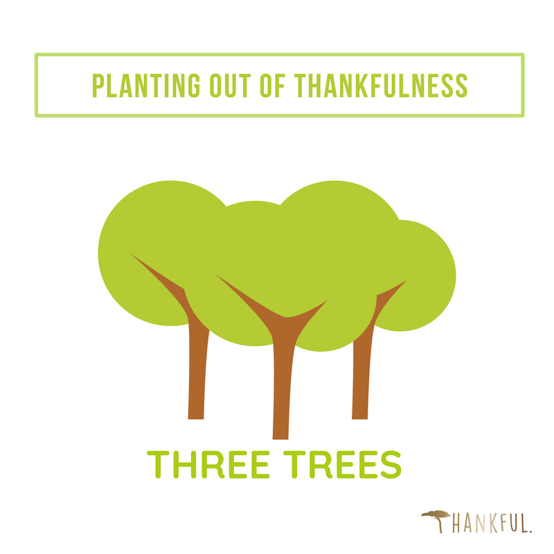 Planting out of Thankfulness - Drei Bäume mit THNKFl pflanzen