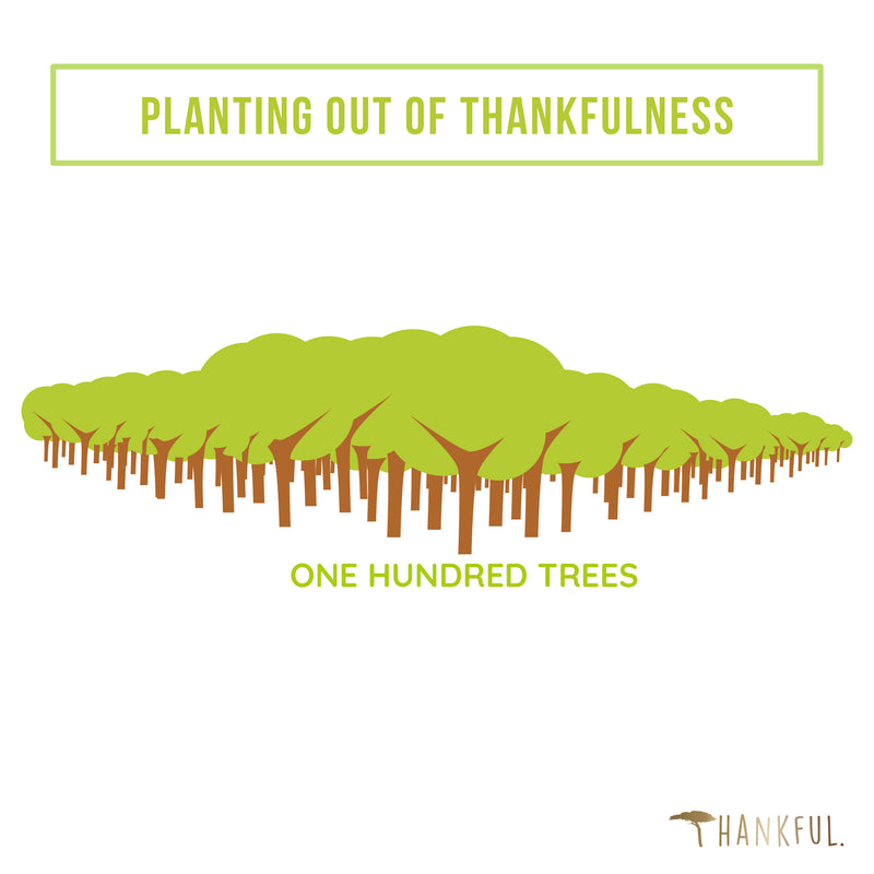 Planting out of Thankfulness - 100 Bäume mit THNKFl pflanzen